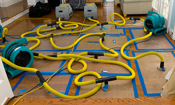 Professional Water Extraction technician working in Alba, MO